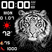 华米跃我Amazfit Bip手表表盘