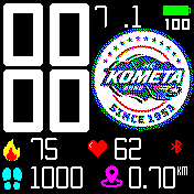 华米跃我Amazfit Bip手表表盘