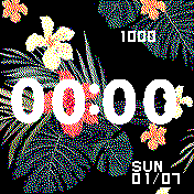 华米跃我Amazfit Bip手表表盘