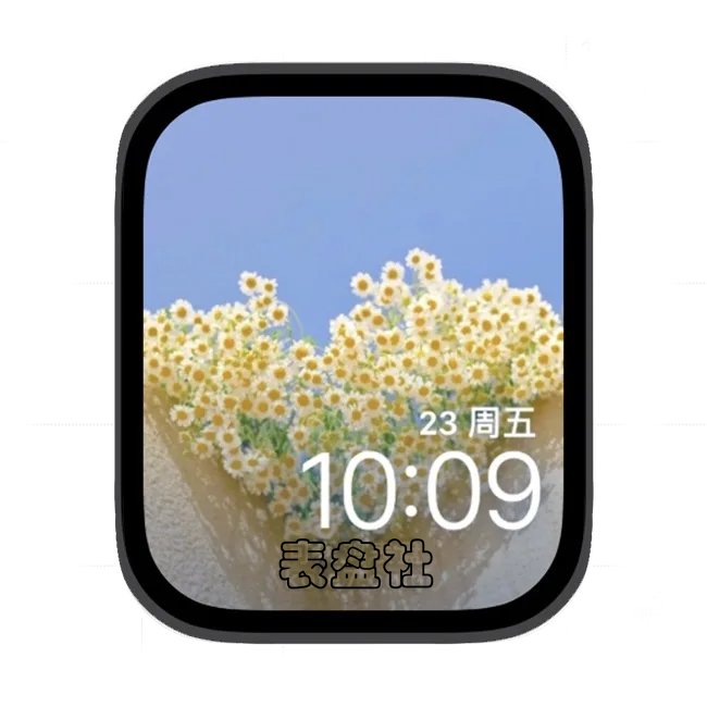 太阳花苹果手表iwatch壁纸表盘