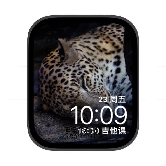 花豹苹果手表iwatch壁纸表盘
