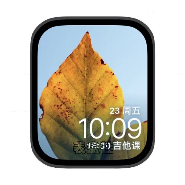 树叶苹果手表iwatch壁纸表盘