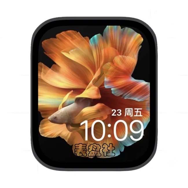 色彩鱼苹果手表iwatch壁纸表盘
