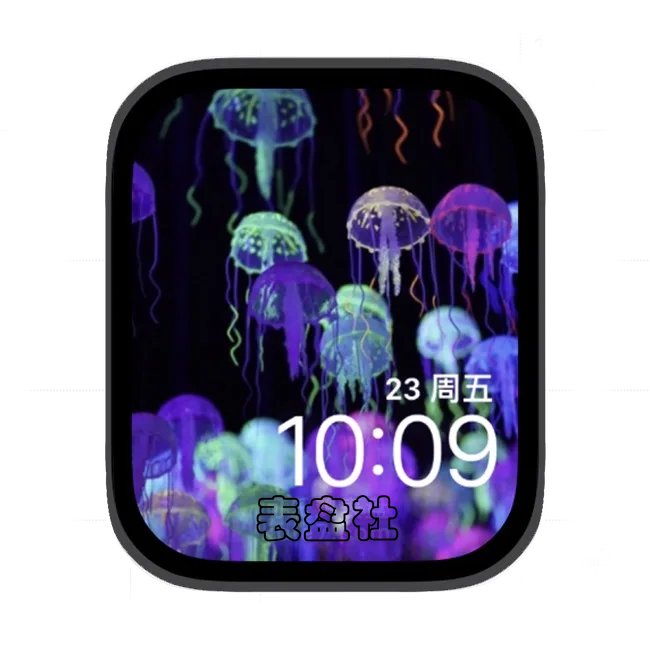 海洋生物海姆苹果手表iwatch壁纸表盘