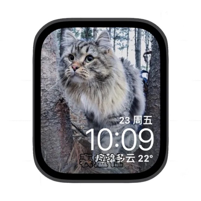 可爱小猫咪苹果手表iwatch壁纸表盘