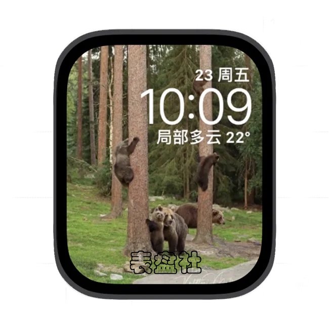 自然森林苹果手表iwatch壁纸表盘