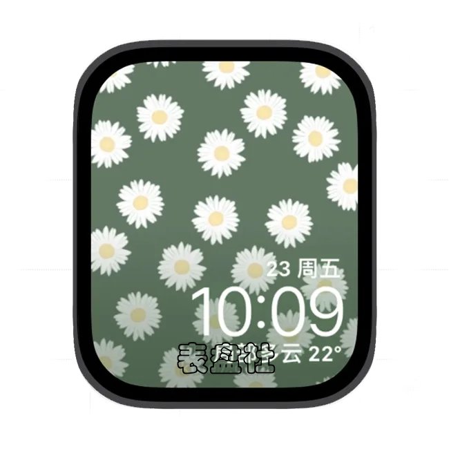 小菊花苹果手表iwatch壁纸表盘