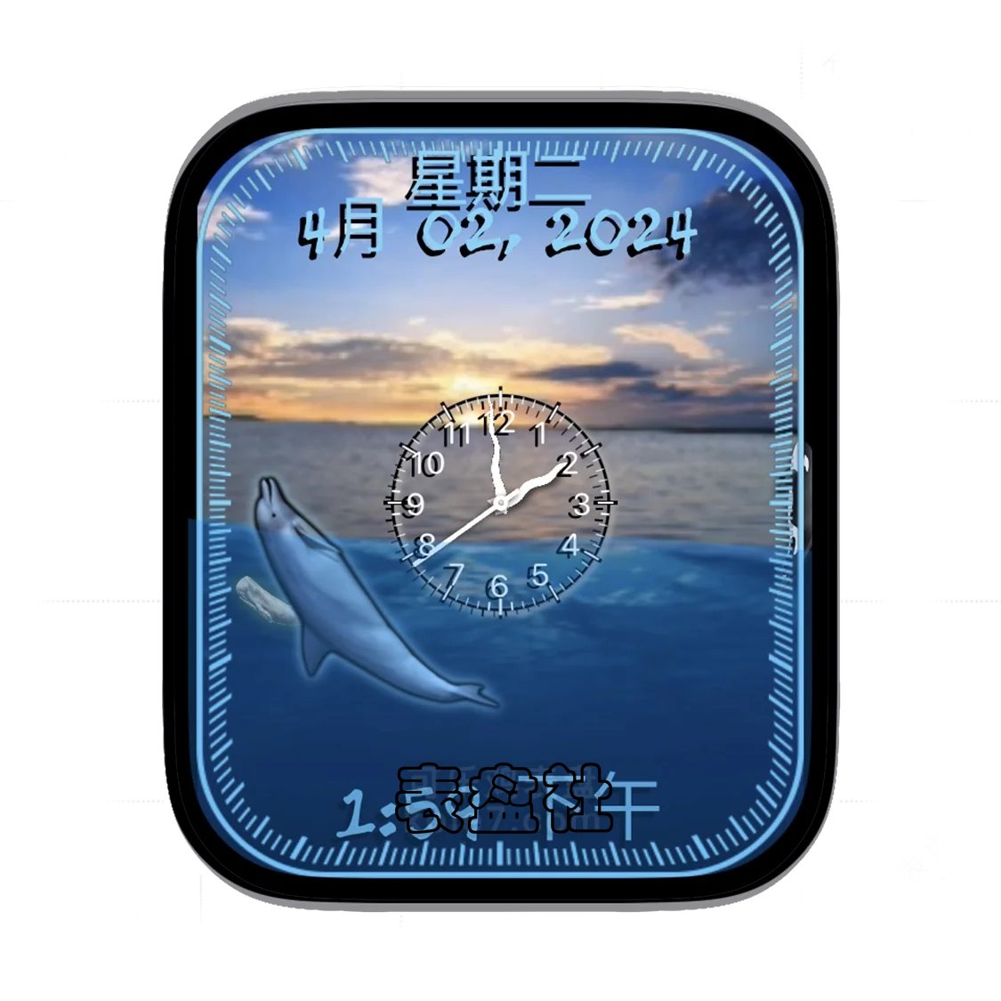 Underwater海底海豚简约数字表盘