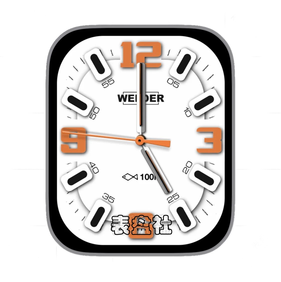 WEIDER威德数字指针ultra专用表盘