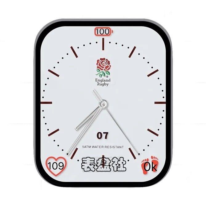 一枝花大圆盘年历指针简约表盘