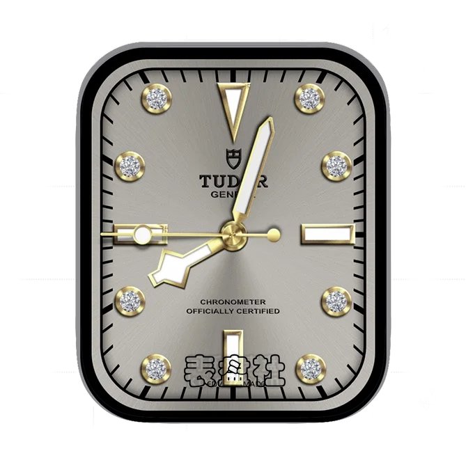TUDOR帝驼高级钻石拉丝金属指针简约表盘