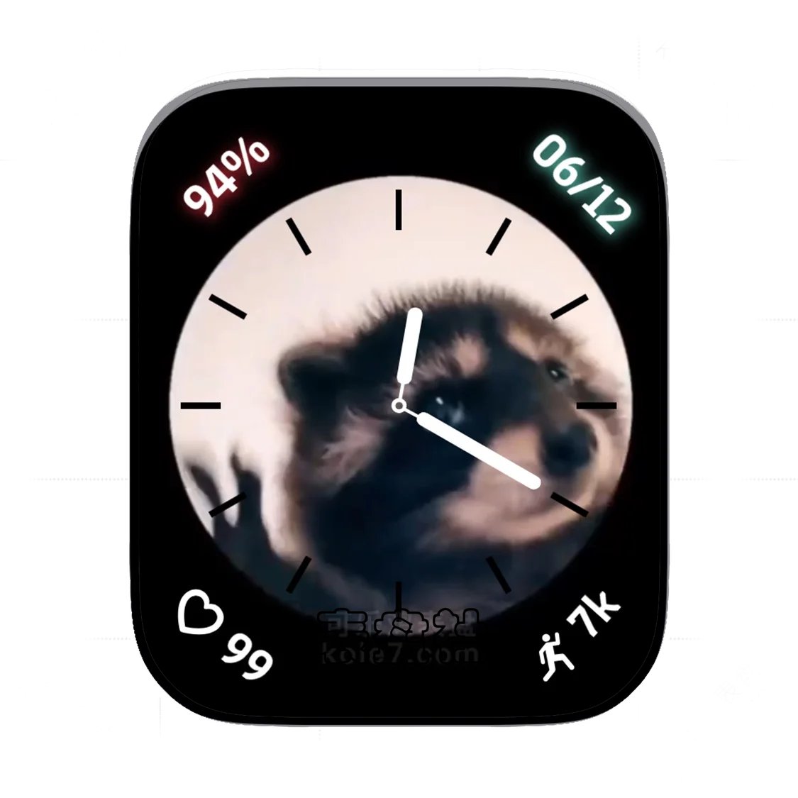 超可爱的浣熊舞蹈苹果iwatch表盘