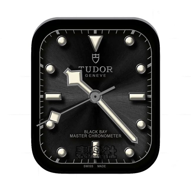 TUDOR帝舵酷黑色拉丝简约表盘