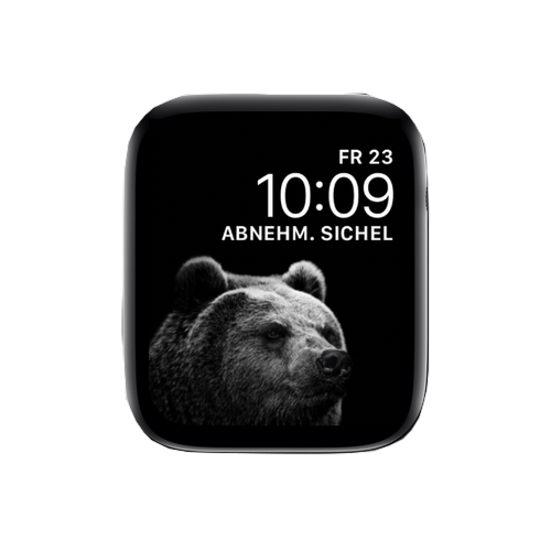 Black Bear
