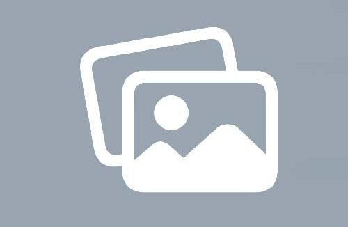 AR欣赏真实动物