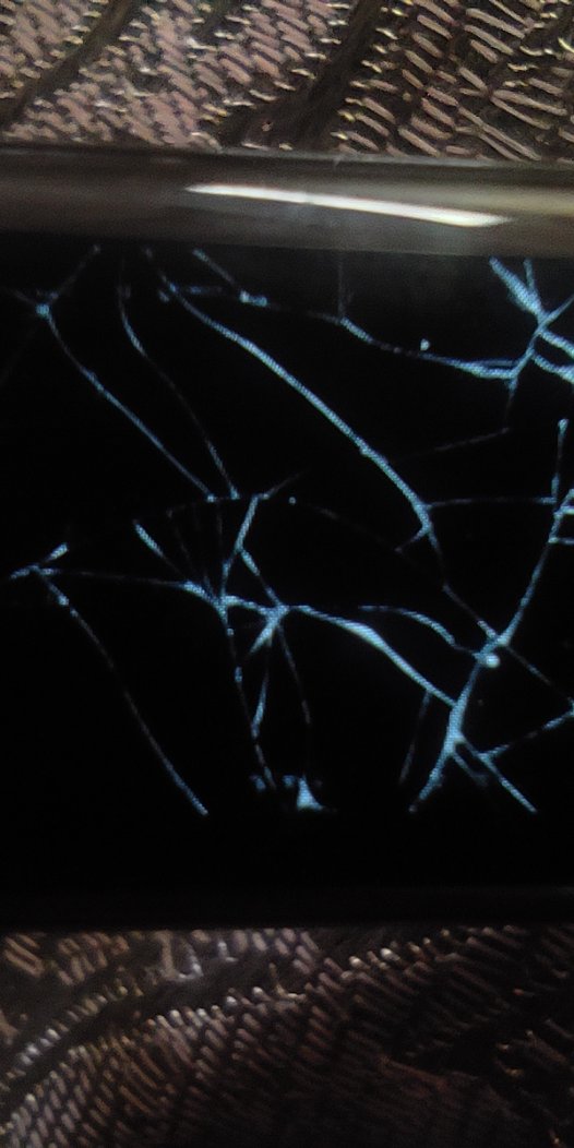 Xiaomi Smart Band 7 手表表盘