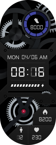 Xiaomi Smart Band 8 手表表盘
