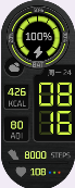 Xiaomi Smart Band 8 手表表盘