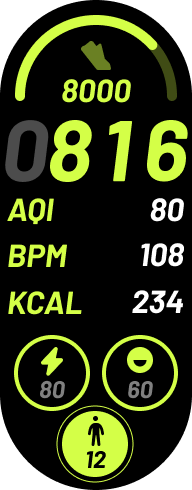 Xiaomi Smart Band 8 手表表盘