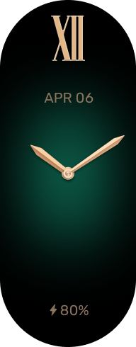 Xiaomi Smart Band 8 手表表盘