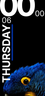 Xiaomi Mi Band 6 手表表盘