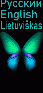 Xiaomi Mi Band 6 手表表盘