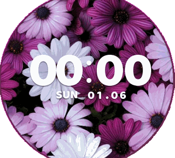 华米跃我Amazfit Verge Lite手表表盘