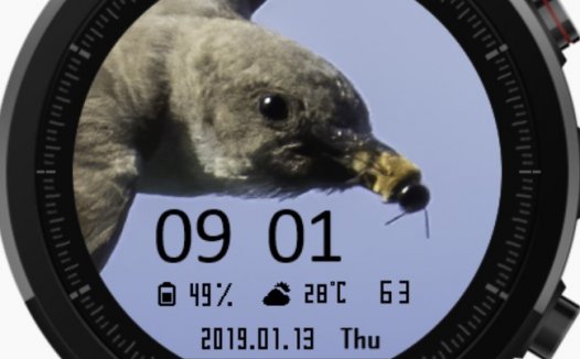 华米跃我Amazfit Pace, Stratos手表表盘