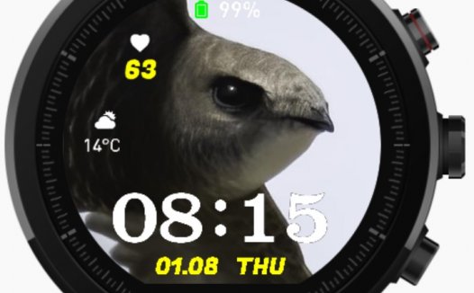 华米跃我Amazfit Pace, Stratos手表表盘