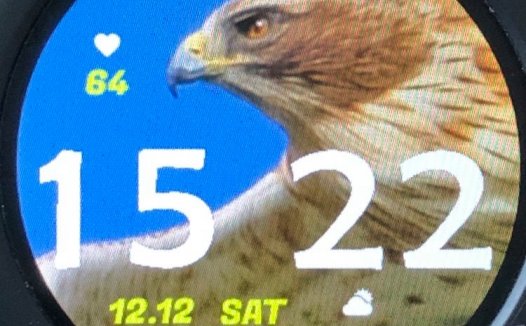 华米跃我Amazfit Pace, Stratos手表表盘