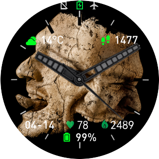 华米跃我Amazfit Pace, Stratos手表表盘