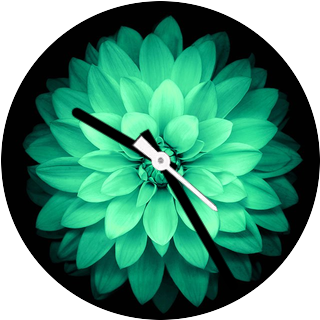 华米跃我Amazfit Pace, Stratos手表表盘