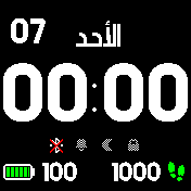 华米跃我Amazfit Bip手表表盘