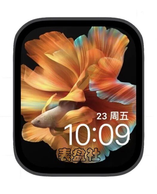 色彩鱼苹果手表iwatch壁纸表盘