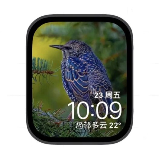 大自然与鸟苹果手表iwatch壁纸表盘