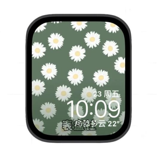 小菊花苹果手表iwatch壁纸表盘