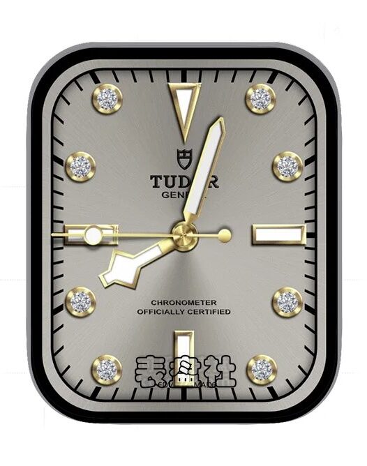 TUDOR帝驼高级钻石拉丝金属指针简约表盘